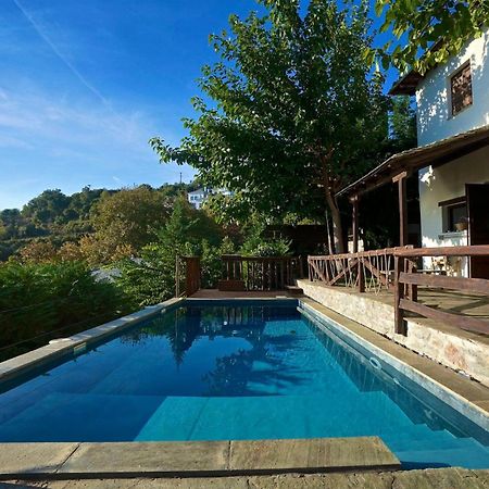 Great Pelion Villa Villa Thalia Private Pool 3 Bedrooms Aghios Georgios Extérieur photo