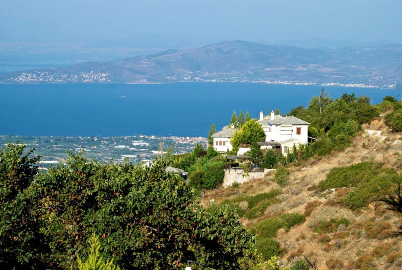 Great Pelion Villa Villa Thalia Private Pool 3 Bedrooms Aghios Georgios Extérieur photo