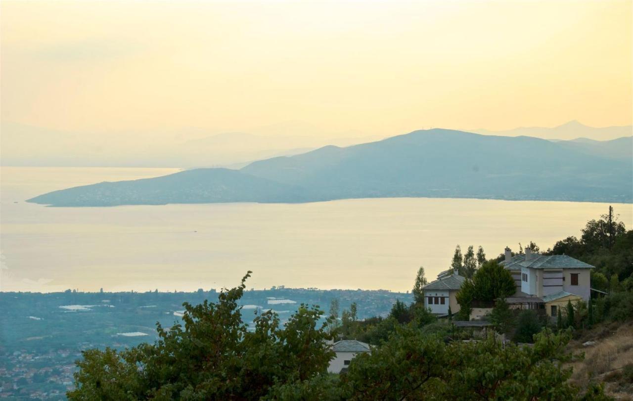 Great Pelion Villa Villa Thalia Private Pool 3 Bedrooms Aghios Georgios Extérieur photo